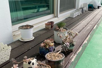 부흥요양원