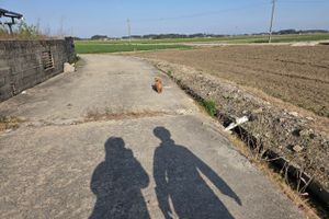 벧엘노인복지센터 바로가기